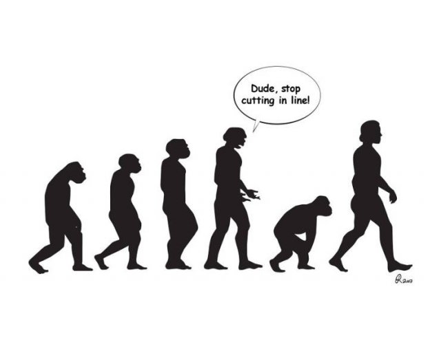 Funny Illustrations About The Evolution (30 pics)