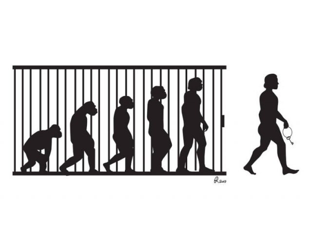 Funny Illustrations About The Evolution (30 pics)