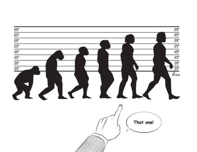 Funny Illustrations About The Evolution (30 pics)