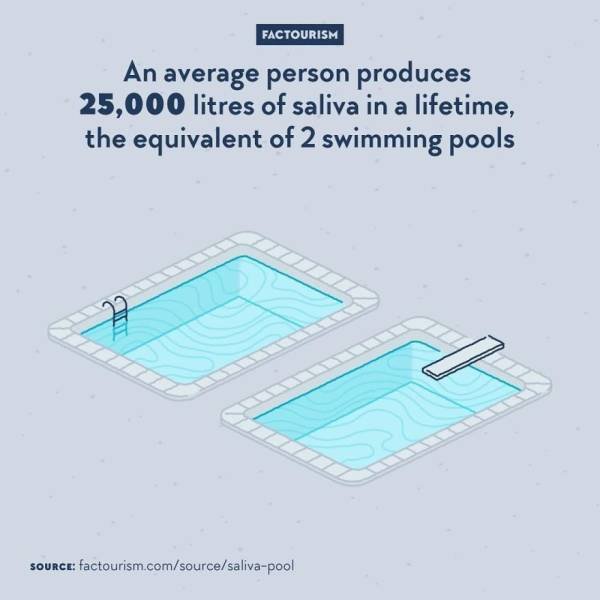 Illustrated Facts (52 pics)