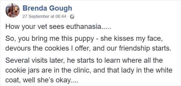How Your Vet Sees Euthanasia (9 pics)