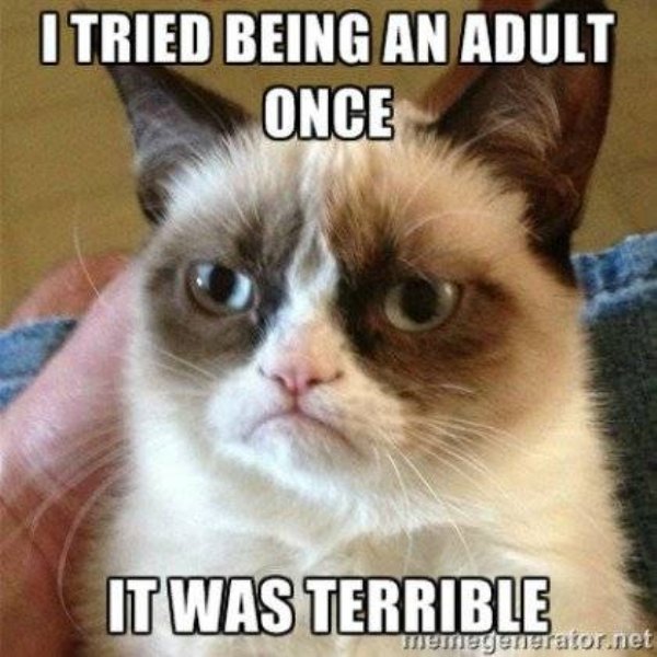 Memes About People In Their Thirties (23 pics)