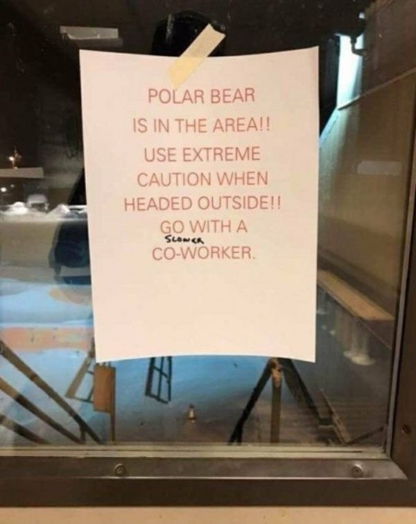 Meanwhile In Canada... (25 pics)