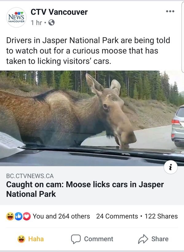 Meanwhile In Canada... (25 pics)