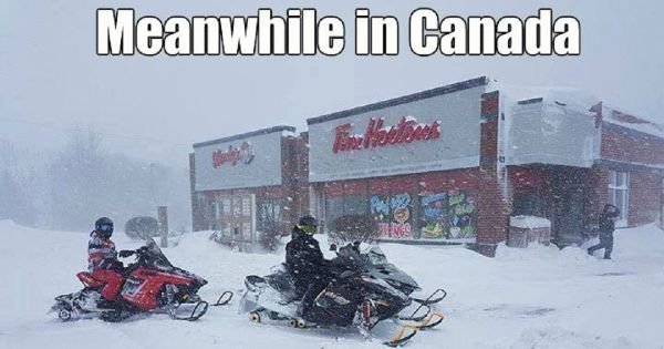 Meanwhile In Canada... (25 pics)