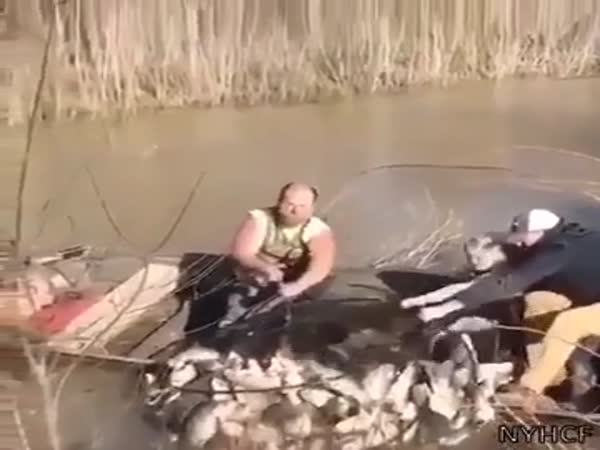 Fishing Gone Wrong