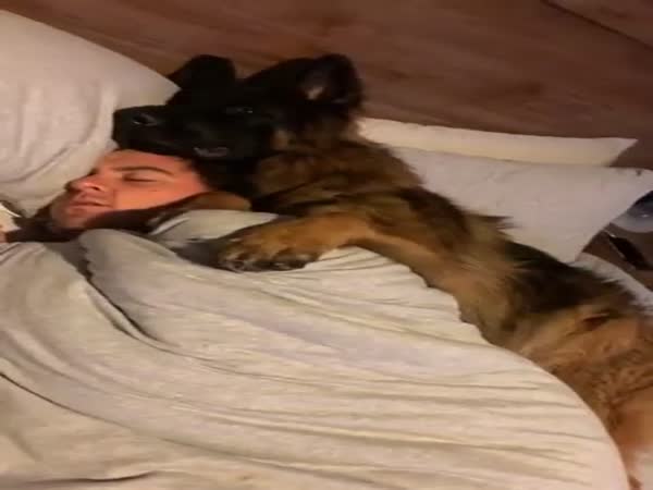 The Owner Is Totally Safe