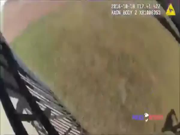 A Police-Livestream Would Be Nice