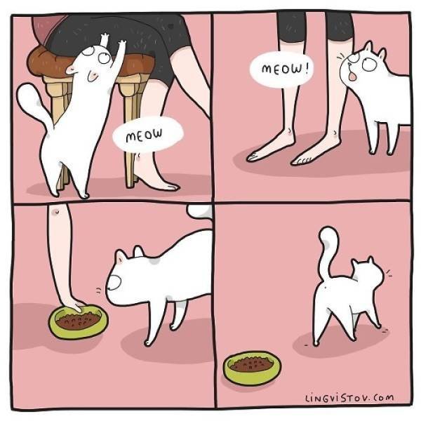 Comics About Cat And Its Owner (40 pics)
