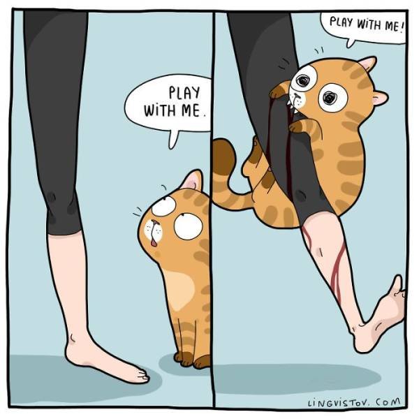 Comics About Cat And Its Owner (40 pics)