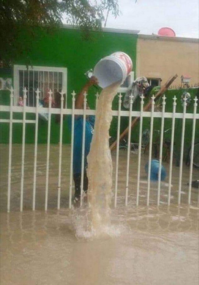 Forget The Logic (17 pics) Forget The Logic (17 pics)