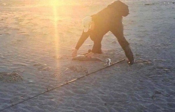 Do You Really See This? (36 pics)