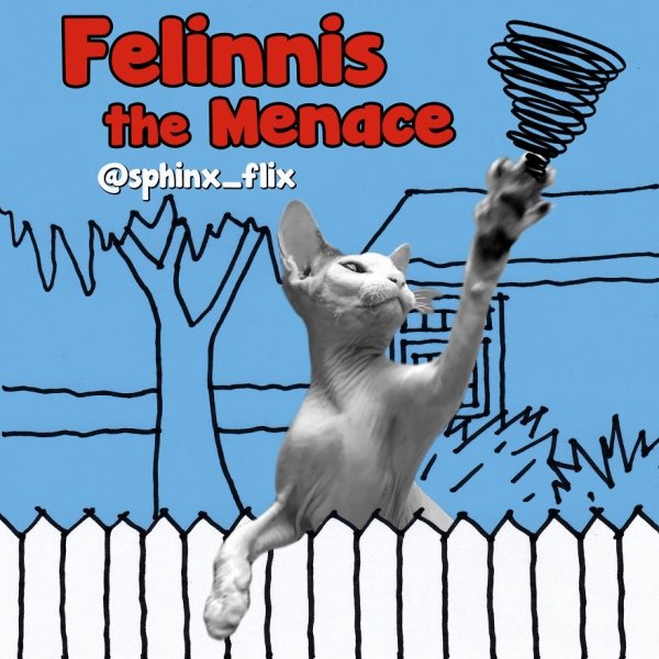 Cat Parodies Of Famous Films (31 pics)