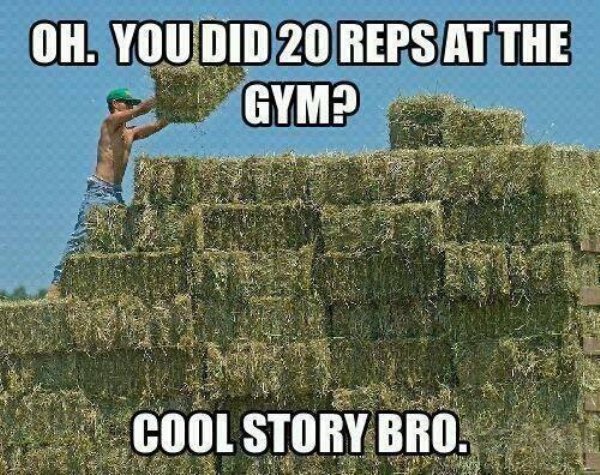 Countryside Memes (39 pics)