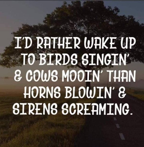 Countryside Memes (39 pics)
