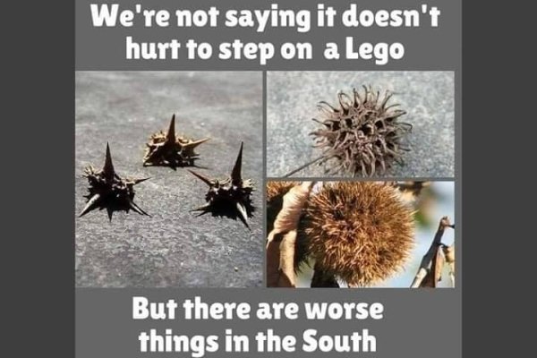 Countryside Memes (39 pics)