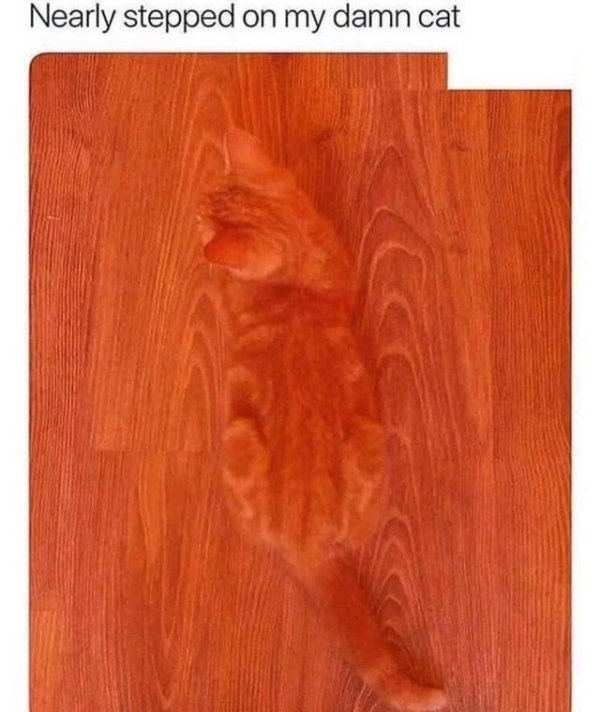 Do You Really See This? (36 pics)