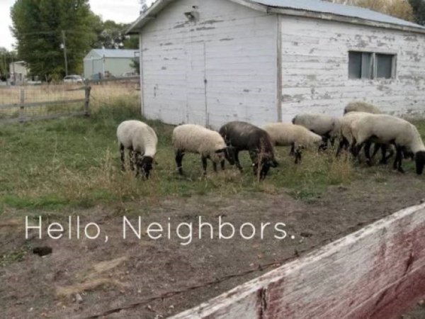 Countryside Memes (39 pics)