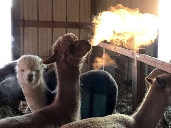 Do You Really See This? (36 pics)