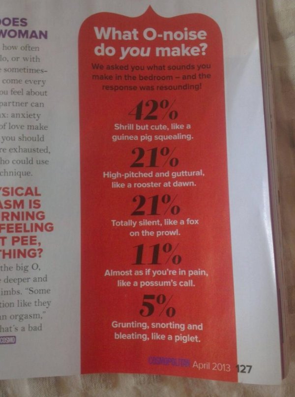 Ridiculous Sex Articles (30 pics)