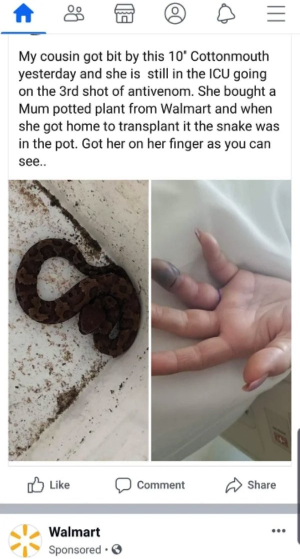 WTF Pictures (30 pics)