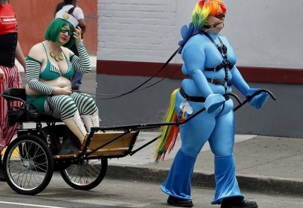 WTF Pictures (30 pics)