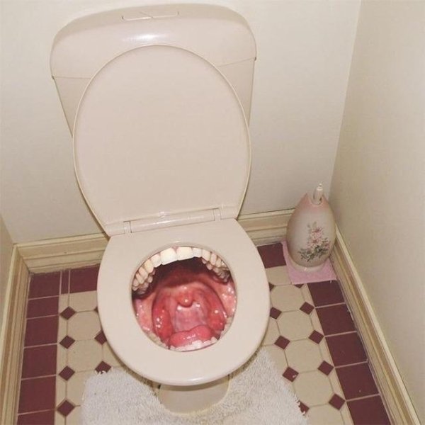 WTF Pictures (30 pics)