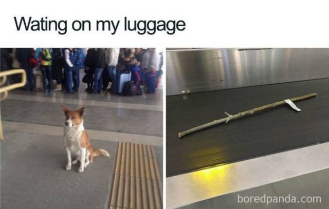 Air Travel Memes (27 pics)