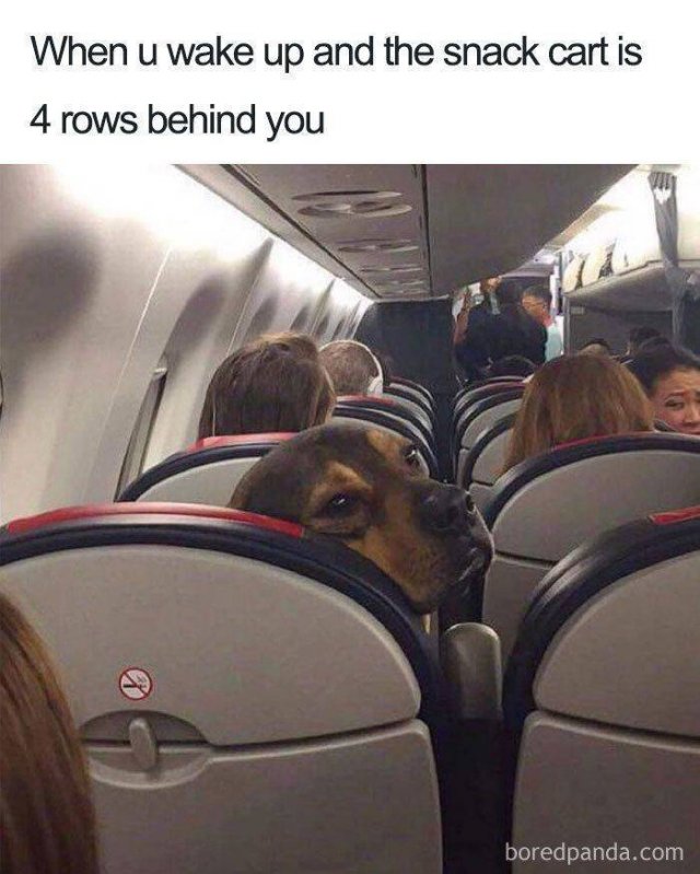 plane travel meme