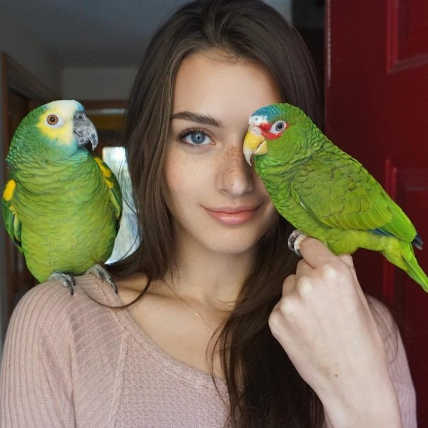 Beautiful Eyes  (37 pics)