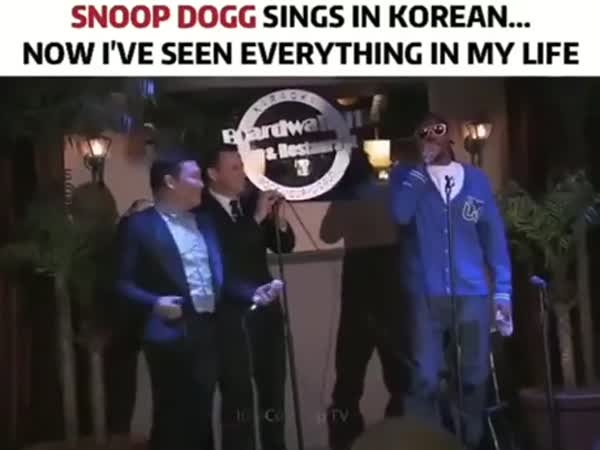 Snoop Dogg Sings In Korean