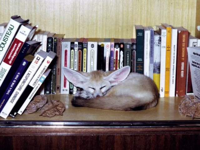 Acid Picdump. Part 1 (95 pics)