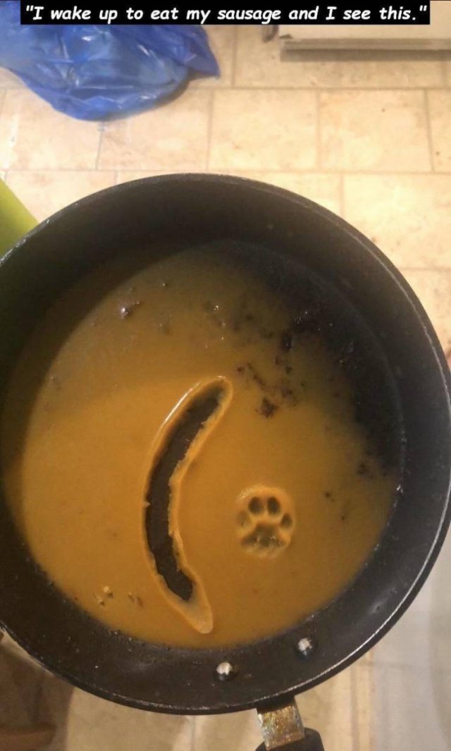 Acid Picdump. Part 1 (95 pics)