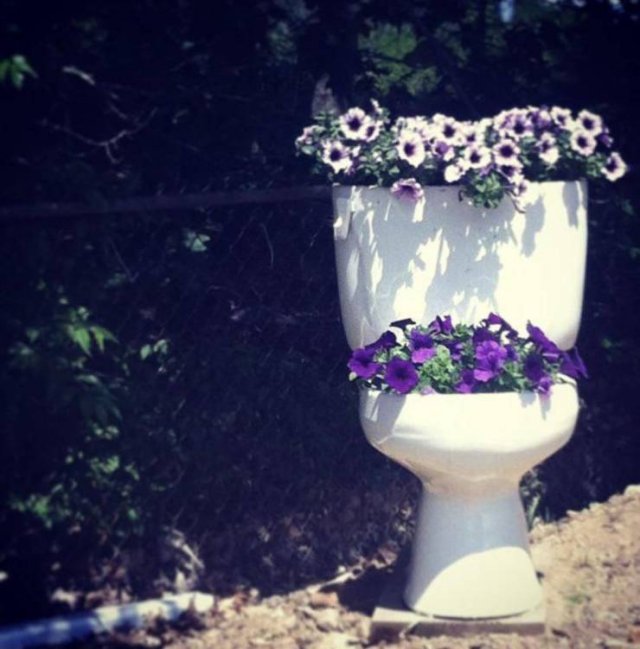 Acid Picdump. Part 1 (95 pics)
