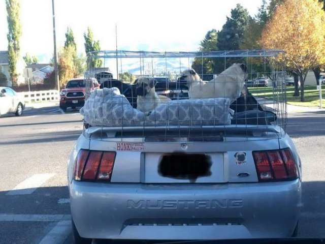 Acid Picdump. Part 1 (95 pics)