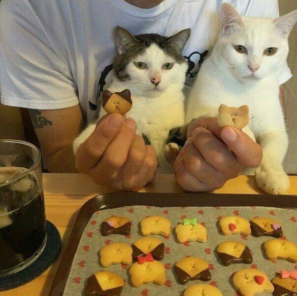 Acid Picdump. Part 1 (95 pics)