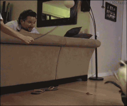 Acid Gifdump, October 18 (25 gifs)