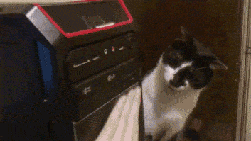 Acid Gifdump, October 18 (25 gifs)