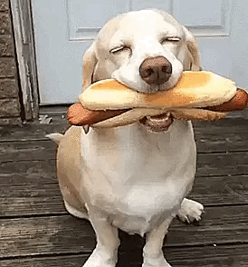 Acid Gifdump, October 18 (25 gifs)
