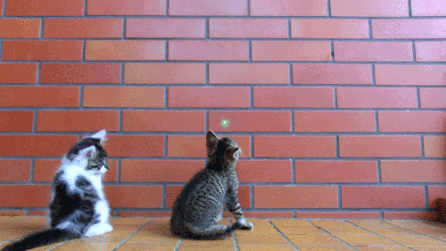 Acid Gifdump, October 18 (25 gifs)