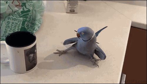 Acid Gifdump, October 18 (25 gifs)