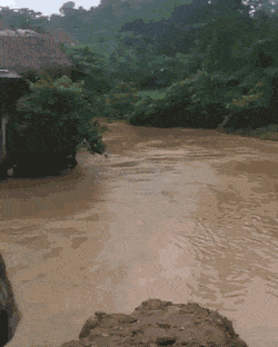 Acid Gifdump, October 18 (25 gifs)