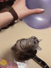 Acid Gifdump, October 18 (25 gifs)