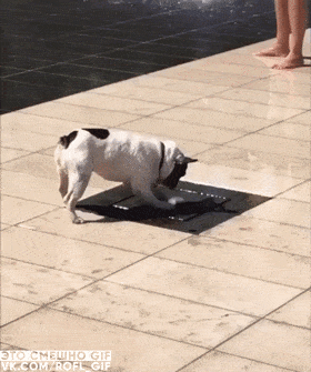 Acid Gifdump, October 18 (25 gifs)