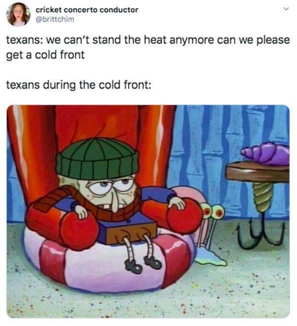 Cold Weather Memes (19 pics)