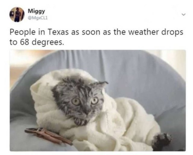 Cold Weather Memes (19 pics)