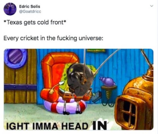 Cold Weather Memes (19 pics)