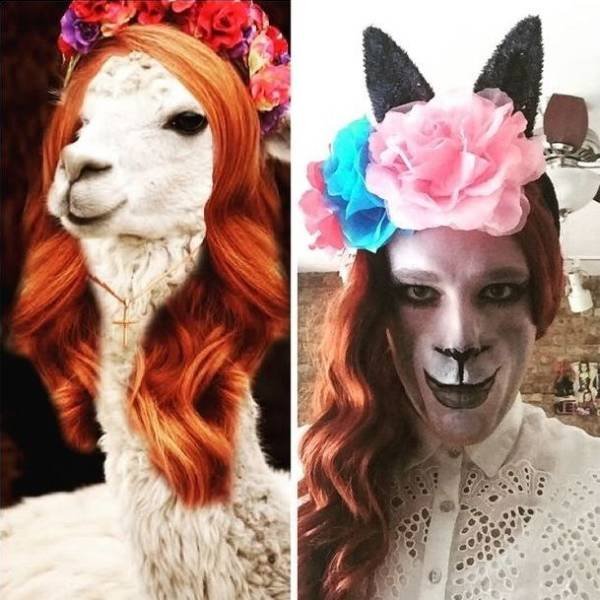 Strange Halloween Costumes (22 pics)
