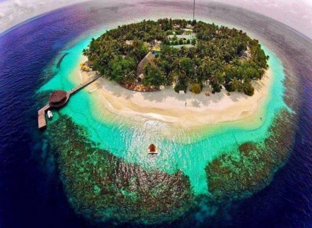 Beautiful And Interesting Photos (52 pics)