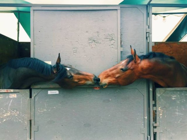Beautiful And Interesting Photos (52 pics)
